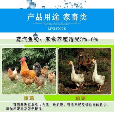 养殖蒸汽鱼粉 鳗鱼料用 桂花鱼 石斑鱼料营养添加