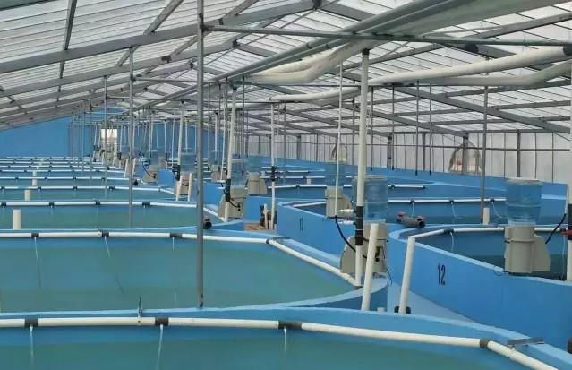 创粤8l工业制氧机 水产养殖增氧设备