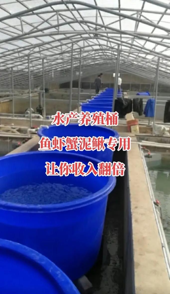 挑战全网最高性价比水产养殖桶039508.#源头实力厂家 # - 抖音
