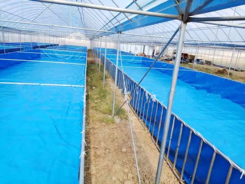浙江大型水产养殖基地用帆布水池 养虾布水池 对虾养殖池