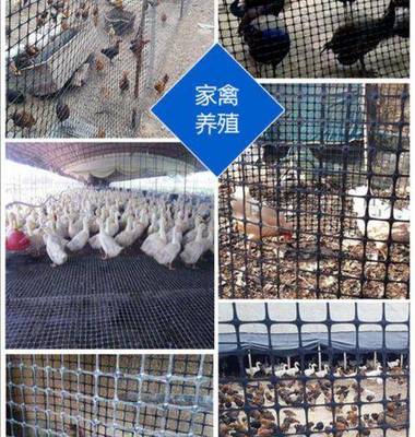 双边护栏网哪个品牌好