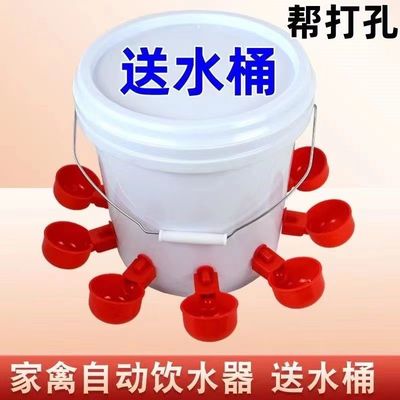 鸡鸭鹅家禽自动喂水器,智能养殖新选择?揭秘实用功能与使用体验!