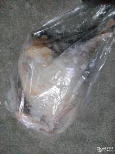 山东 鸡. 鸡.价格 报价 鸡.品牌厂家