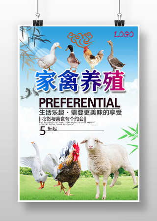 家禽养殖海报